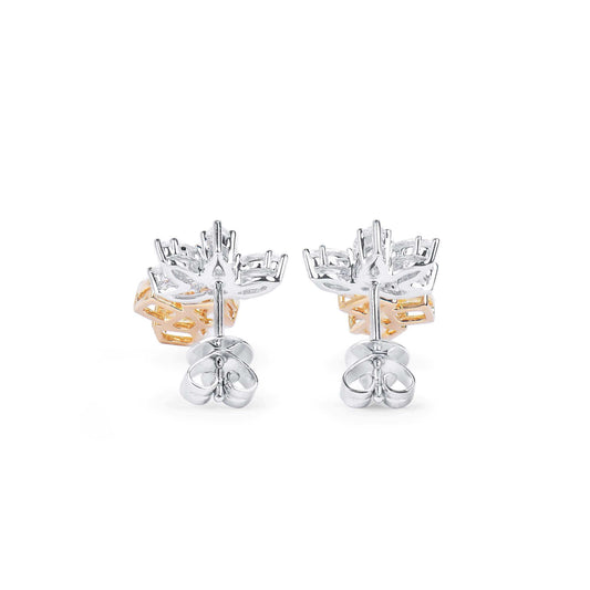 Natural Fancy Yellow & White Cluster Earrings, 18K White & Rose Gold, 2.0 Ct. TW